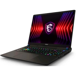 Ноутбук MSI Vector 16 HX A14VHG-831XRU 16 QHD IPS/ i9-14900HX/16GB/1TB SSD (9S7-15M142-831) Gray