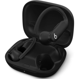 Наушники Beats Powerbeats Pro 2 Jet Black