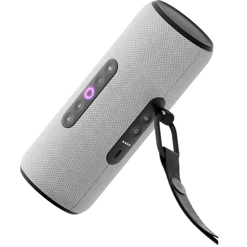 Портативная колонка Яндекс Станция Стрит Серый фото 1