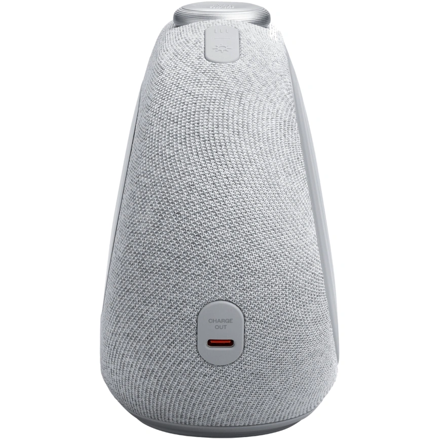 Беспроводная колонка JBL Horizon 3 Gray (с FM приемником) фото 4