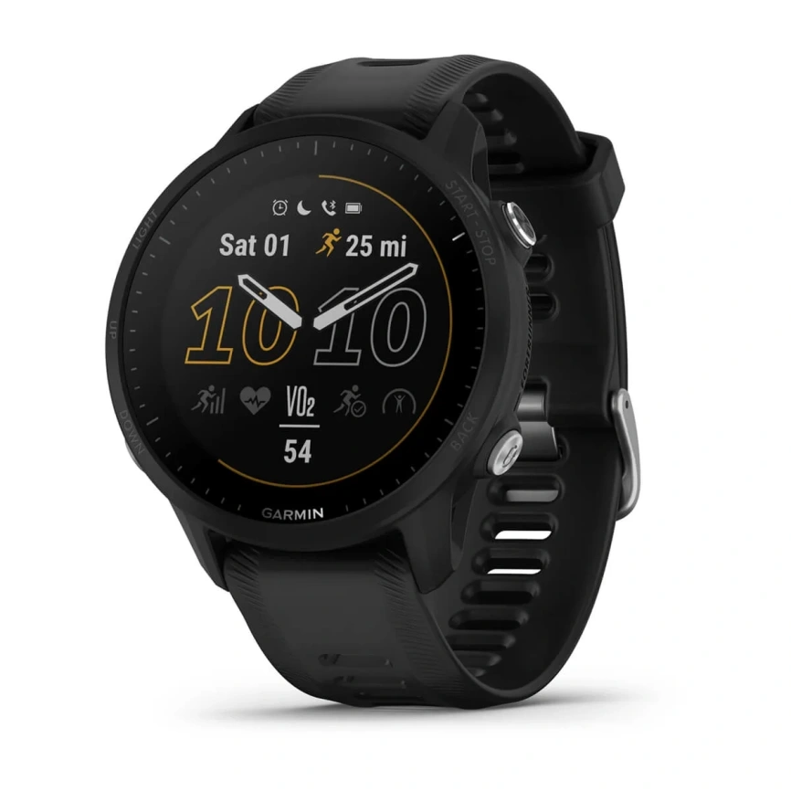 Умные часы Garmin Forerunner 955 (010-02638-10) Black фото 1