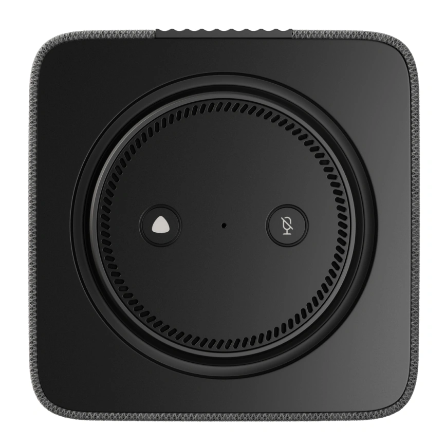 Умная колонка Яндекс Станция Макс с Zigbee, Графит(YNDX-00053K) фото 2