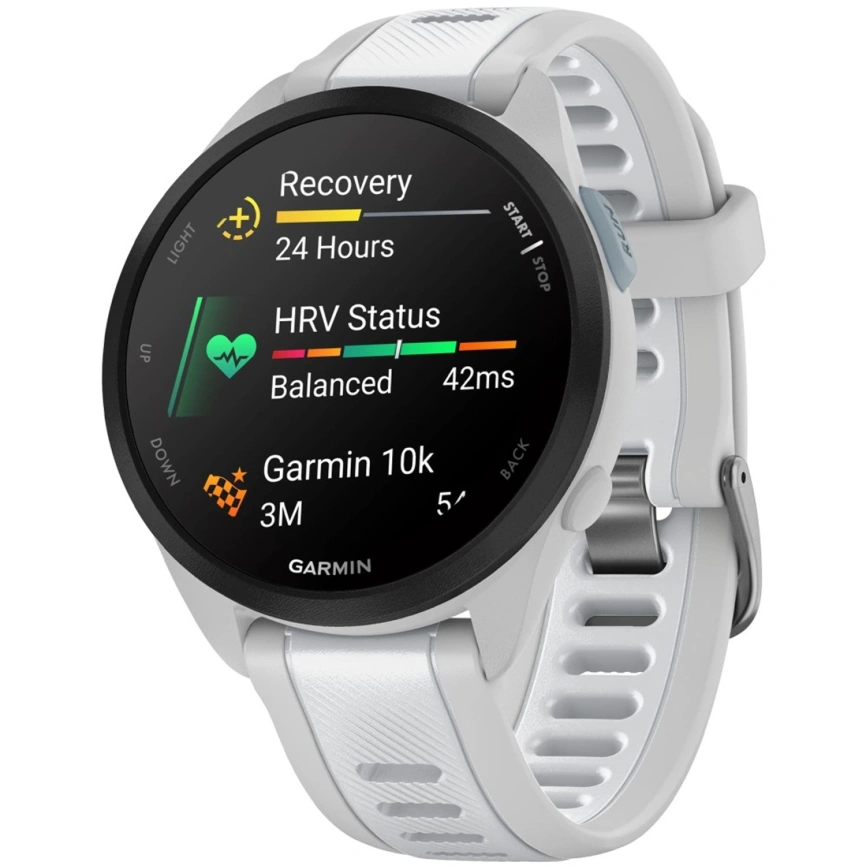Смарт-часы Garmin Forerunner 165 Music (010-02863-31) Mist Gray/Whitestone фото 1
