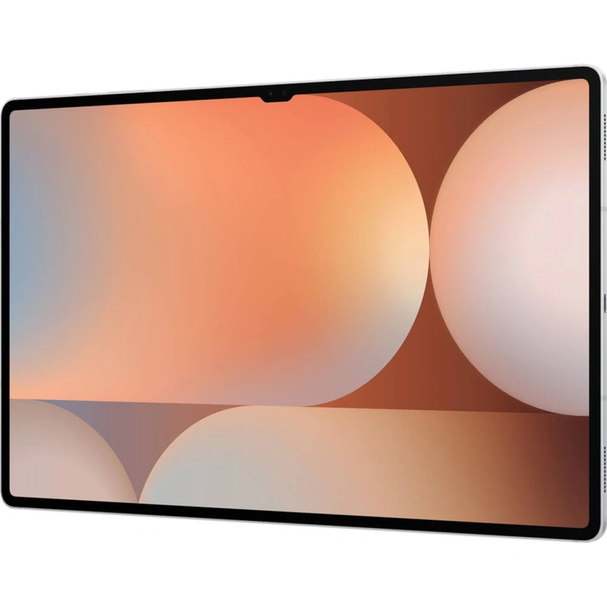 Планшет Samsung Galaxy Tab S10 Ultra Wi-Fi 16/1Tb Platinum Silver (SM-X920) фото 6