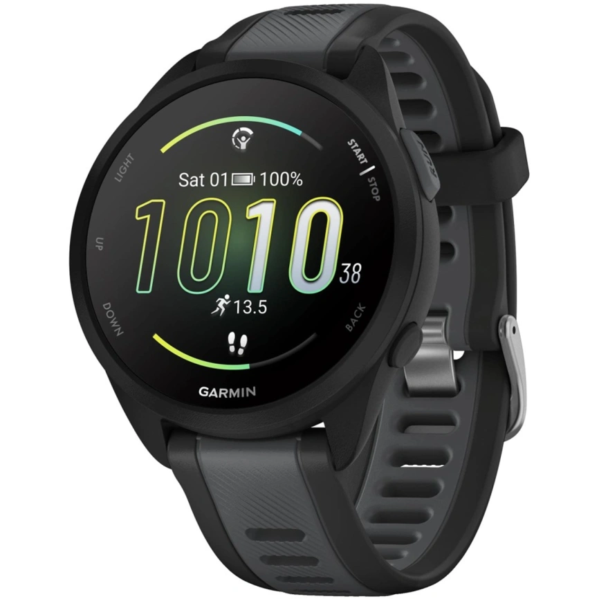 Смарт-часы Garmin Forerunner 165 (010-02863-20) Black/Slate Gray фото 1