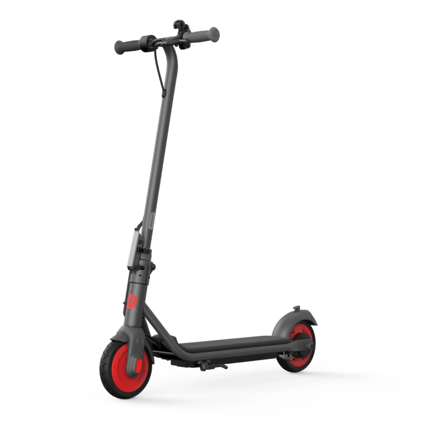 Электросамокат Ninebot KickScooter C20 Gray фото 1