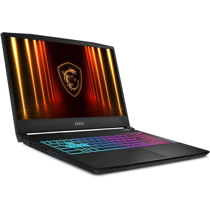 Ноутбук MSI Katana 17 HX B14WFK-275XRU 17.3 IPS/ i5-14450HX/32GB/1TB SSD (9S7-17L791-275) Black фото 4