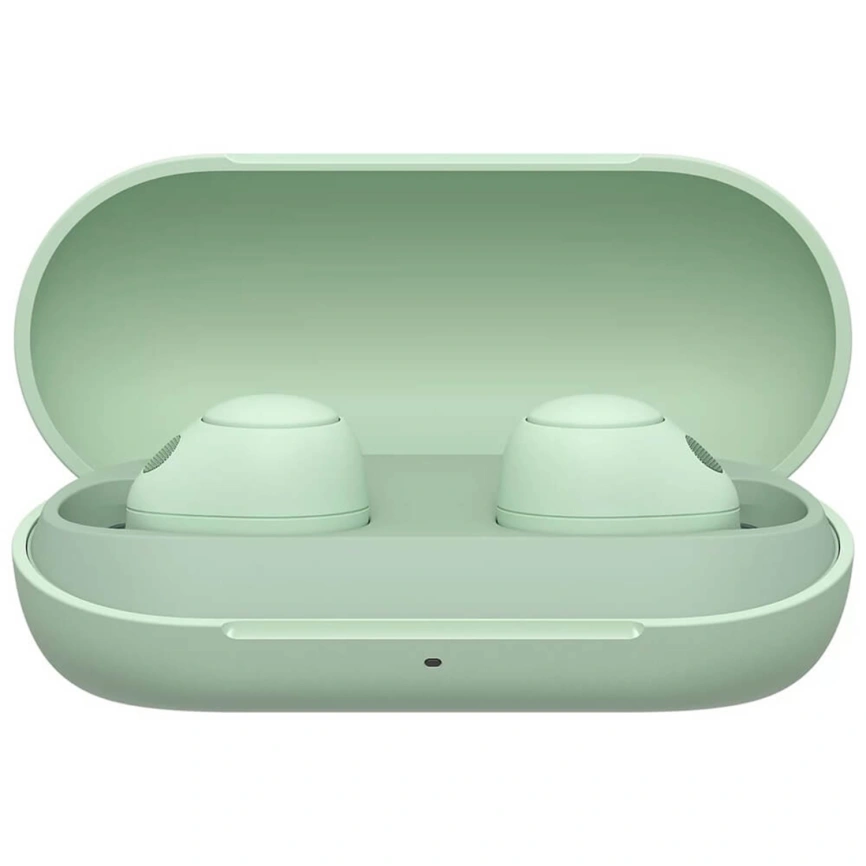 Наушники Sony WF-C700N Sage Green фото 2