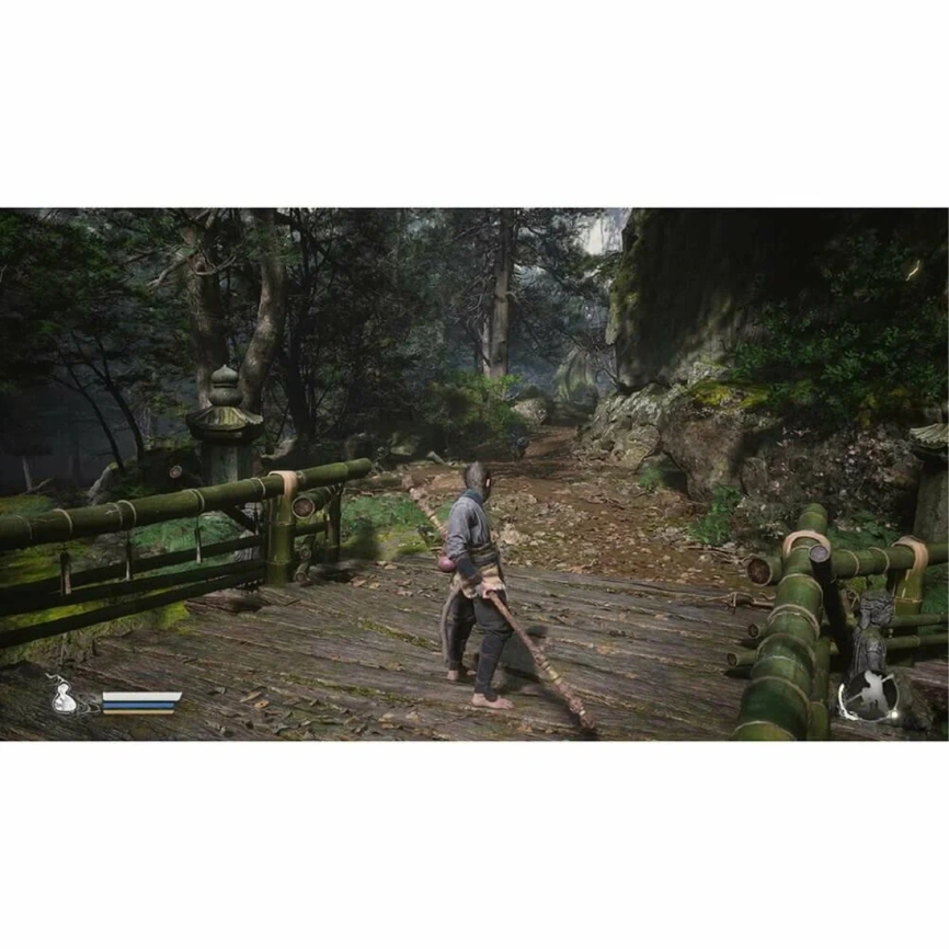 Игра Sony Black Myth: Wukong (Русские субтитры) (PS5) фото 2