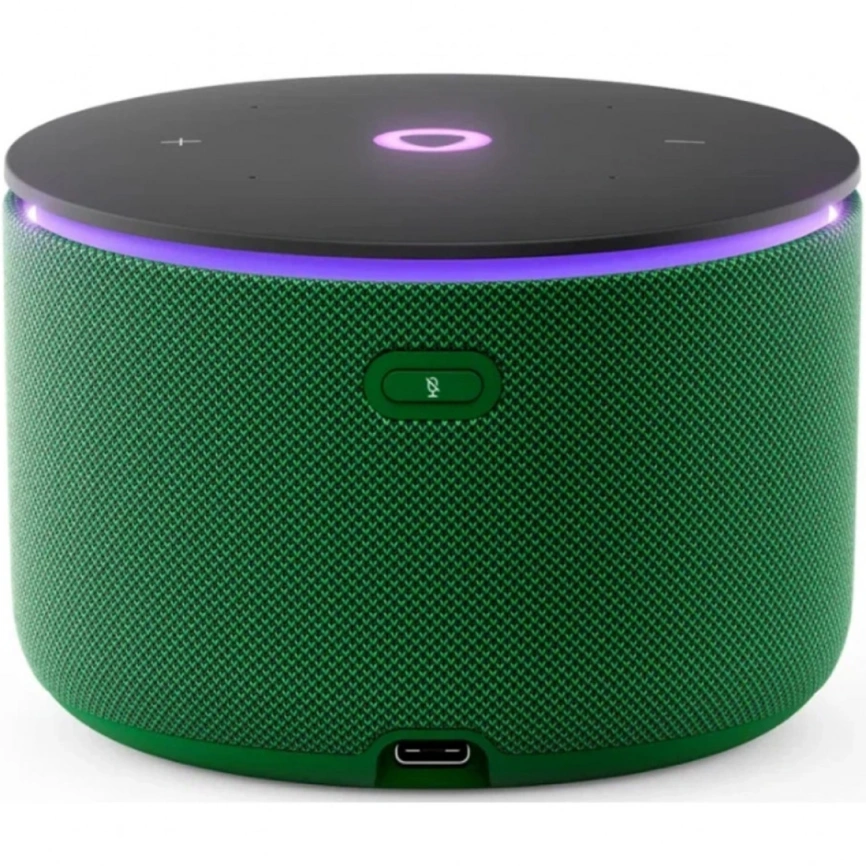 Умная колонка Яндекс Станция Мини 3 Про с Zigbee , Зеленый фото 2